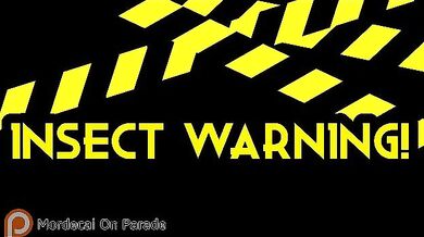 Legend of Zelda: The Great Fairy Trap