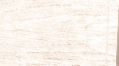 The Barbarian & Wizard Enter a Brothel