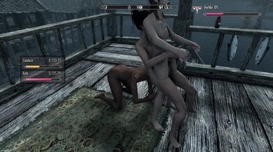 Motherly Love in the Land of Dragons: The Mature Mamas of Skyrim