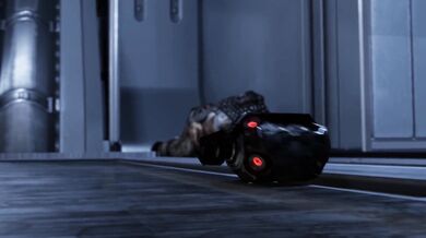 The name of the movie is Normandy Boards [Regular] Sandfly Actual