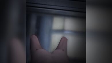 The name of the movie is Normandy Boards [Regular] Sandfly Actual