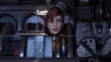 The name of the movie is Normandy Boards [Regular] Sandfly Actual