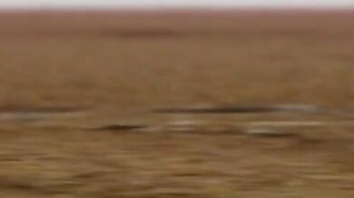 Hentai 3D MMD Animation: Adult Shimakaze - WiggleWiggle (D ver) [MMD R15]