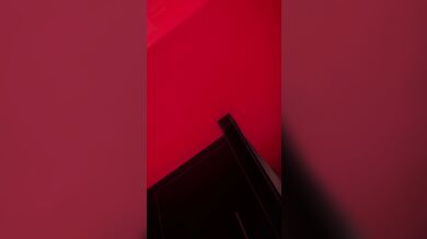 Mikus One-Finger Challenge with Lovemax