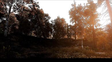 Hunting The Demagorgon