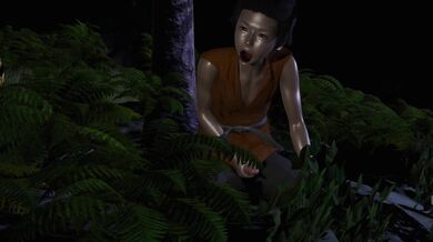 jungle