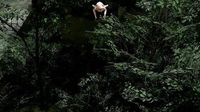You are walking in the park and suddenly a futa comes out from nowhere and asks for directions