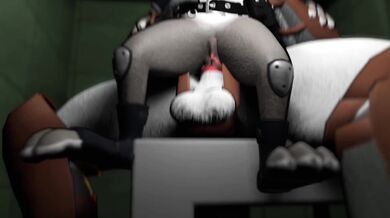 Judy Hopps from Zootopia got fucked with a big cock balls deep in furry reality