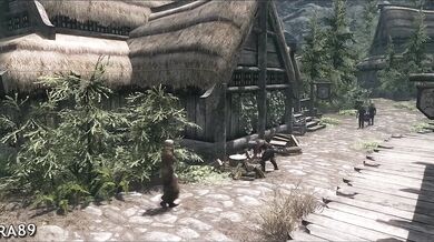 Skyrim Adventures - A Best Friends Affair