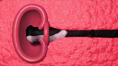 Wonder Woman Filled Up By A Horse 2: The New Vice