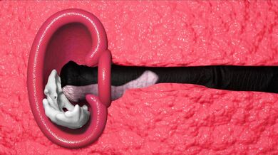 Wonder Woman Filled Up By A Horse 2: The New Vice