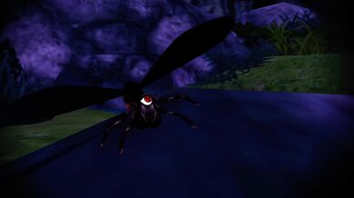 Insect Erotica with Hina Hana