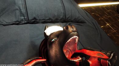 The first test of the new Virtual Reality porn experience at the Elera Hotel leaves nothing to the imagination