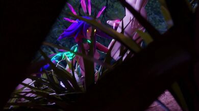 Neeko Night Count - The Eternal Throne