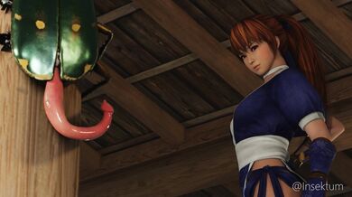 The Masked Maiden: Kasumis Secret Part 1