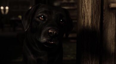 Her New Dog Helping Her Cum Faster