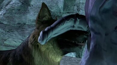 The Lick of the Ridley: Letting Your Dog Out for Some Sexual Pleasure