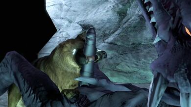 The Lick of the Ridley: Letting Your Dog Out for Some Sexual Pleasure