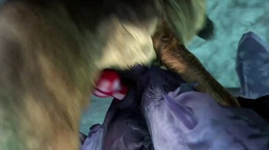 The Lick of the Ridley: Letting Your Dog Out for Some Sexual Pleasure