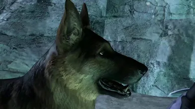 The Lick of the Ridley: Letting Your Dog Out for Some Sexual Pleasure