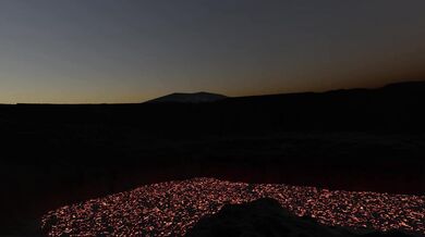 Rebecca and her pet dragon, Volcano, engage in some hot action together when she discovers his true nature