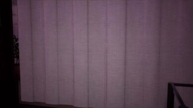 Exotic Encounter - Wild Wife Takes on a BBC during Vacation Adventure!