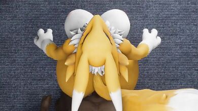 Renamons Adventure with And Some Krystal, A Hentai Compilation