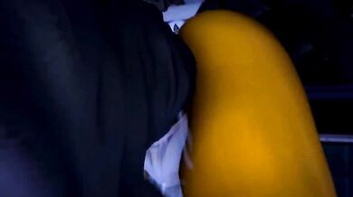 Renamons Adventure with And Some Krystal, A Hentai Compilation