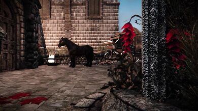 Serena Gets Fucked by a Giant Horse Dildo (4K)