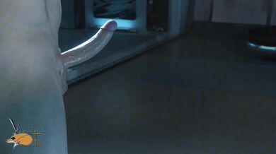 -------------------------------------------