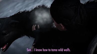 Unleashing the Beasts Within: Taming and Fucking Wild Wolves