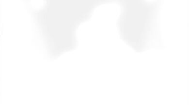 The Adventures of Peach Fuzz and Chica: Into the Fuzzy Forest