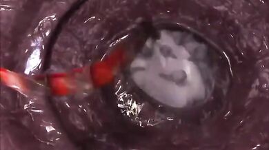 The Bionic Seeker: Vol 1 - A Third Dimension of Lust