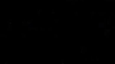 ------------------------------