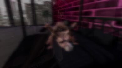 Sexy Samantha’s Nightmare: A Horny Hentai