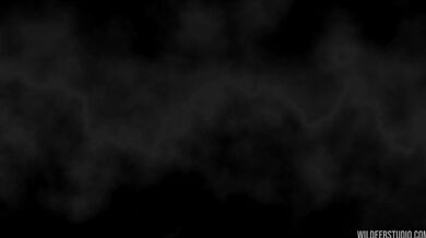 Lara Croft gets down and dirty with the wildest beasts in the jungle, to celebrate her 50k subscriber milestone! [Wildeer Studio]