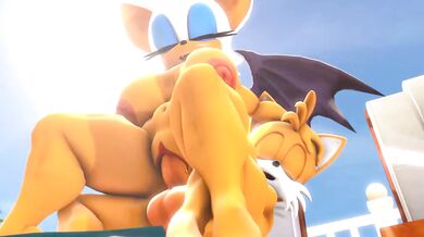 Rouge the Bat Gets Fucked by Sonic the Hedgehog in 3D