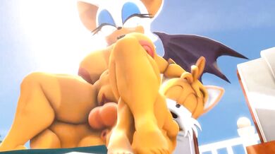 Rouge the Bat Gets Fucked by Sonic the Hedgehog in 3D