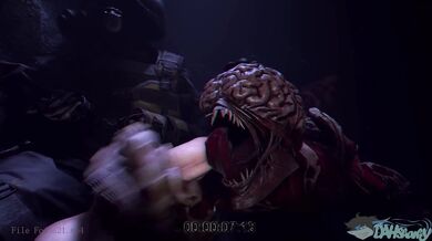 Broken Bones and Bloody Scenes: Hunks Found Footage