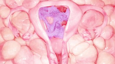 WATCH Me Cum As I Squirt Into My Tiny Pussy While I Get Fucked By A Gigantic Racoon