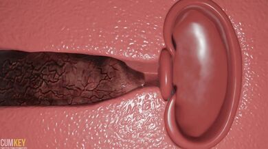 Watch busty slut get tied up in knot trouble, vote for your favorite winner, and enjoy the massive 3D dick thats about to penetrate her tight pussy