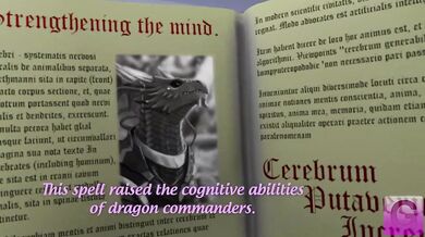 The enchanting world of dragon magic, part 3