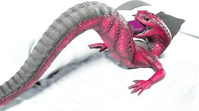 Nagas Solo: The Art of Self Love