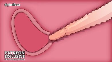 The Hentai Adventures of Selen and Tatsuki: The Yhsi Feca Experience