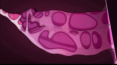 Sexy Chloe cant resist the temptation of her rituals that leave her wet and satisfied