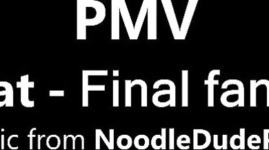 Bangin the Dragon - A Final Fantasy XXX Parody