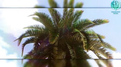 My First Kiss, 3OH!3 & Nameless Brain, High Quality 720p Hentai Video