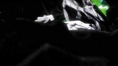 Supreme Compilation 2