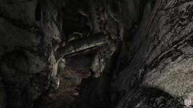 Raiders of the Lost Treasure