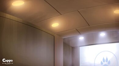 Sexy Nurses vs Horny Patients: The Bad Guys